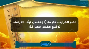 احذر الحرارة.. حار نهارًا ومعتدل ليلًا – الأرصاد توضح طقس مصر غدًا